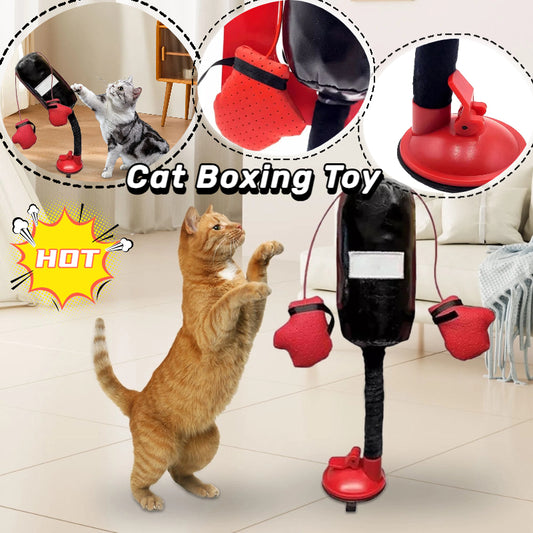 Portable Cat Punching Bag Toy Interactive Indoor Cats Kitten Toy With Gloves Cat Toy For Kitten Pet Cat Supplies Pets Products